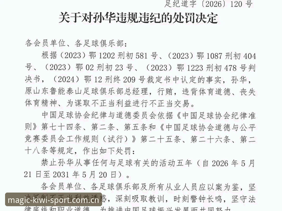 中国足协第三批禁足名单解读教程：深度分析行业整顿背后的数据与趋势