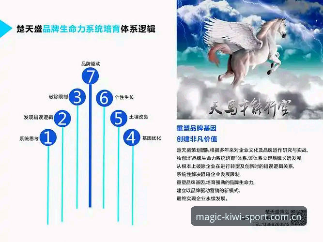 奇异果体育平台安全性与体验深度评测：创新视角下的真实表现